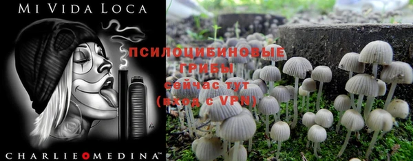 синтетический гашиш Нефтекумск