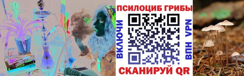 закладки  Похвистнево  Галлюциногенные грибы MAGIC MUSHROOMS 