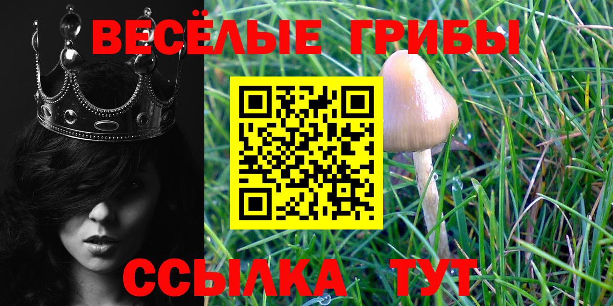 Похвистнево  Псилоцибиновые грибы мухоморы  Вход с VPN 