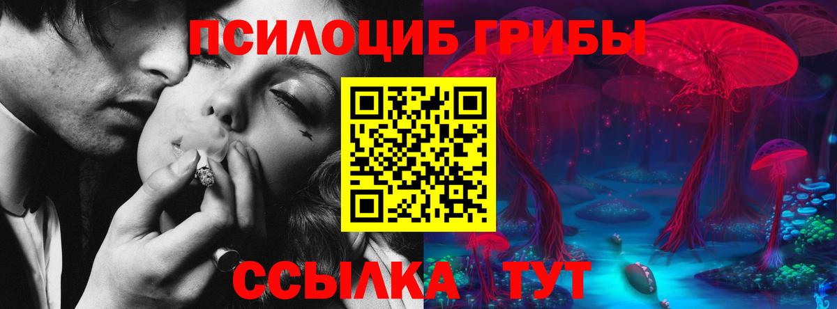 Псилоцибиновые грибы Magic Shrooms Похвистнево